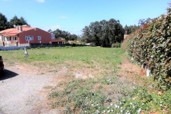 IMG_20200728_163502