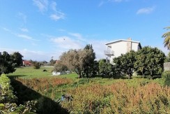 IMG_20201107_143158