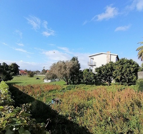 IMG_20201107_143158