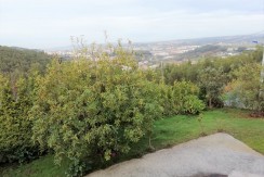Jardín (1)