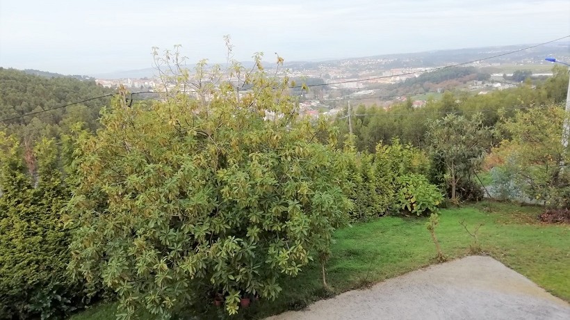 Jardín (1)