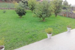 Jardín (2)