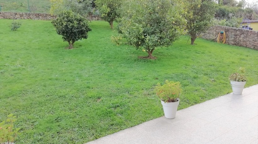 Jardín (2)