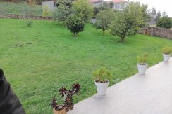 Jardín (3)